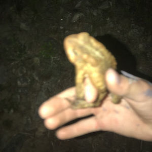 Meet your Posher, Camryn